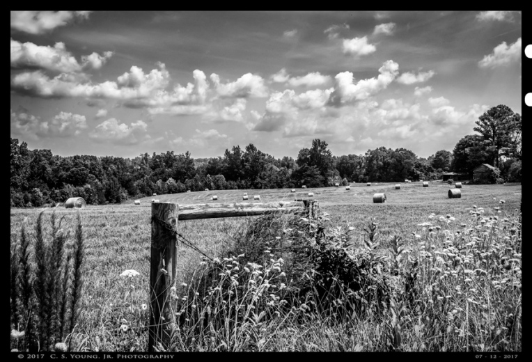Caswell County Countryside Composition 2